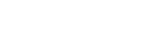chauffeur Logo